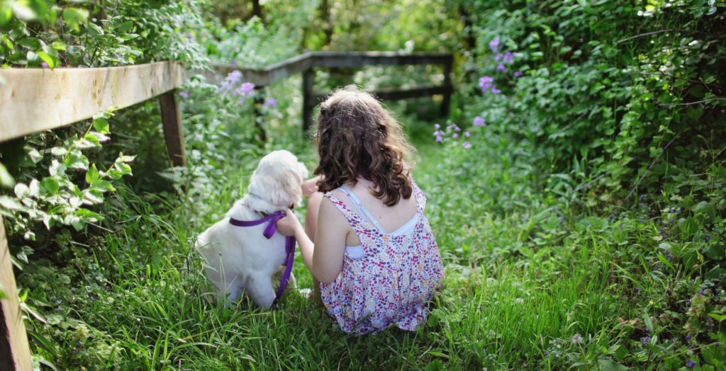 Cane Golden Retriever e bambino