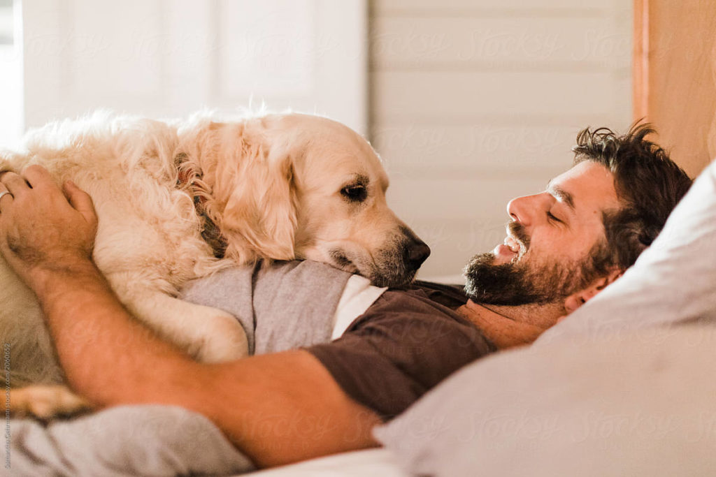 quanto costa un Golden Retriever