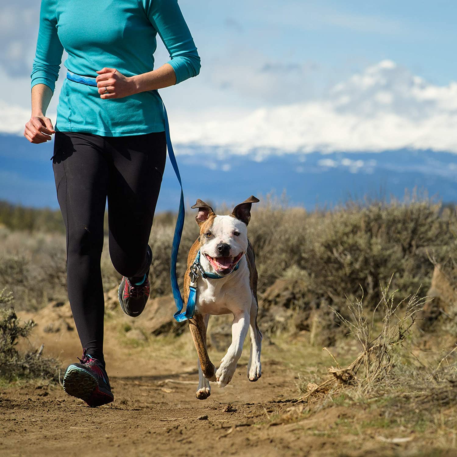 Unipampa Guinzaglio per Cani Mani Libere Guinzaglio per Cani Guinzaglio da jogging e Formazione per Medium Cani Grande Con strisce riflettenti Guinzaglio Regolabile da Corsa Mani Libere Unipampa Guinzaglio per Cani Mani Libere Guinzaglio per Cani Guinzaglio da jogging e Formazione per Medium Cani Grande Con strisce riflettenti Guinzaglio Regolabile da Corsa Mani Libere